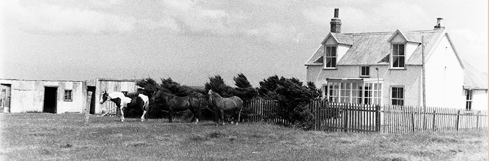 Constable's house/ then Drs Guide and caretaker Government station Fox Bay